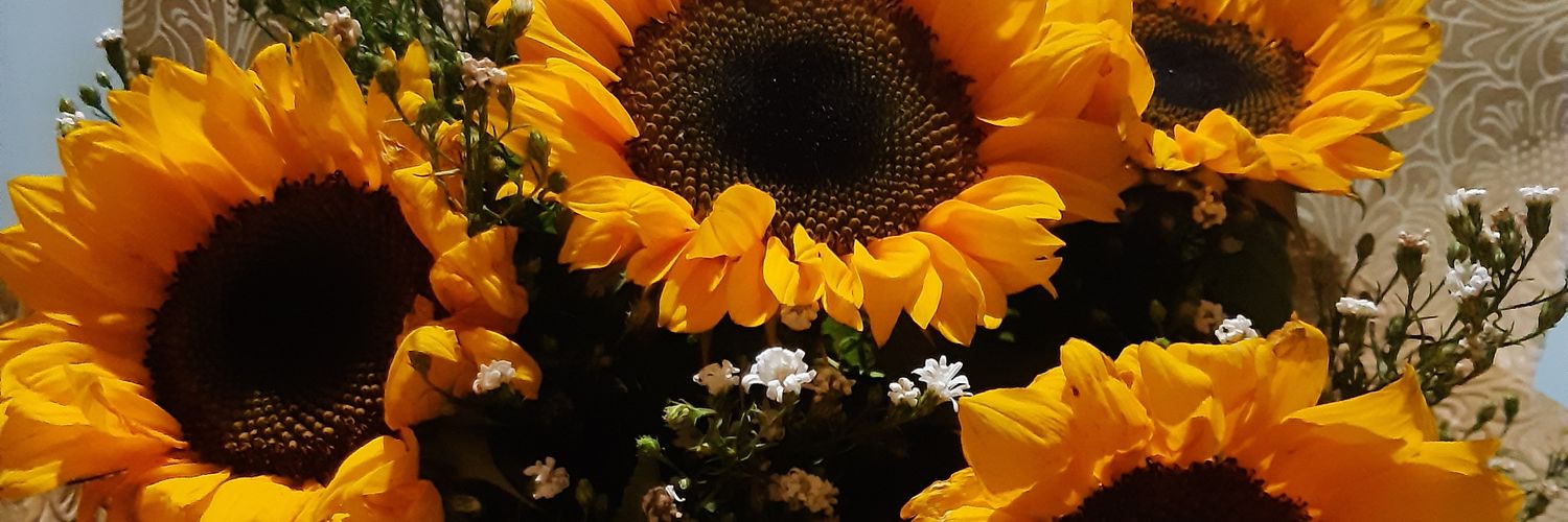 tiloooooooo's profile banner image