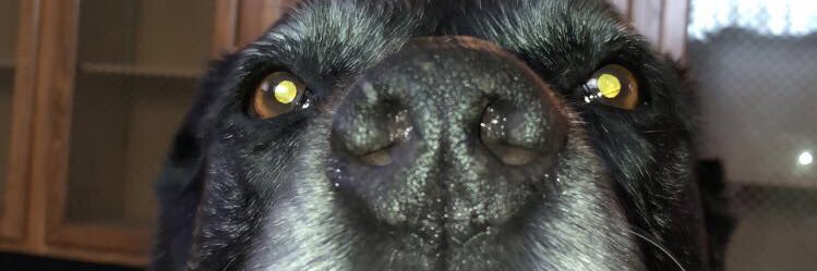 _addykellen_'s profile banner image