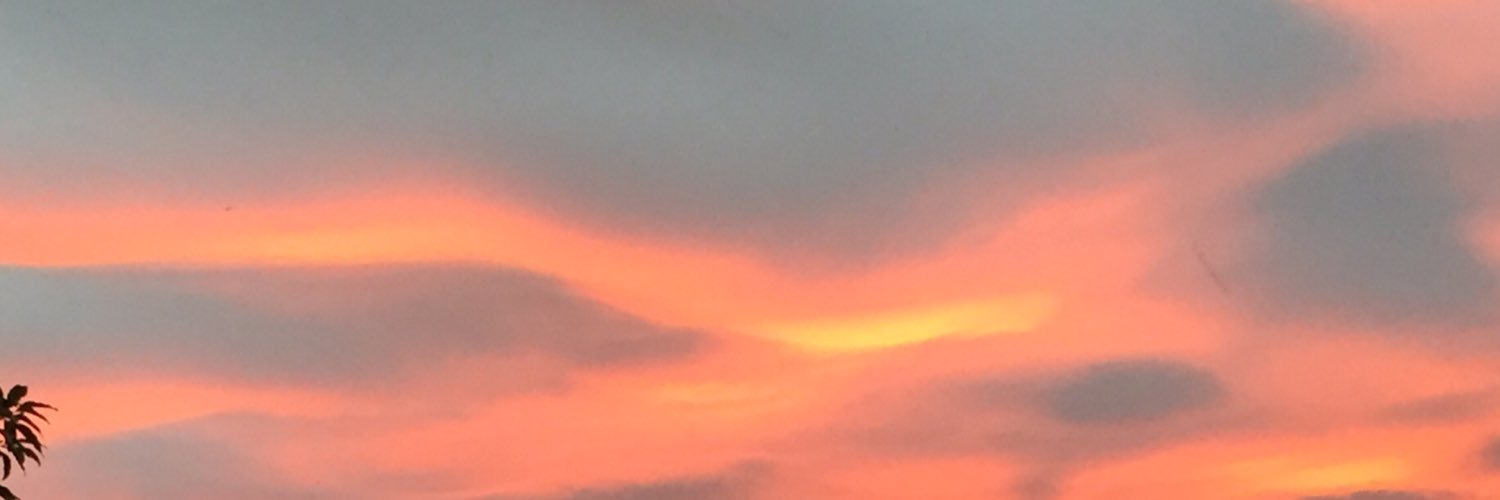 Penny Tricker banner