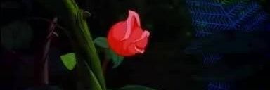 Georch López banner