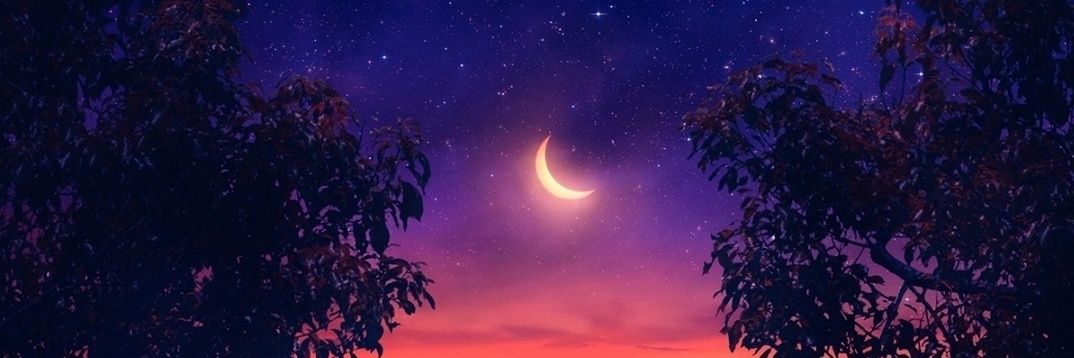 MonsterFaceX's profile banner image