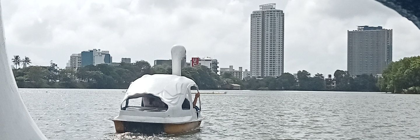 NavindaraW's profile banner image