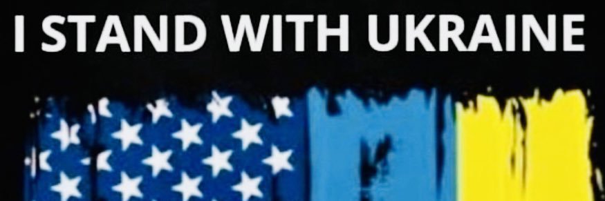 LilYellowMini 🇺🇦☮️ banner