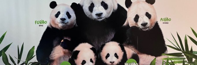 bbangda0's profile banner image