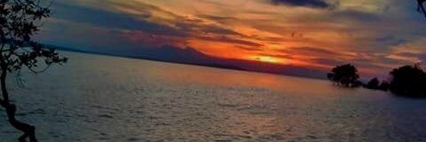 mjtan1997's profile banner image