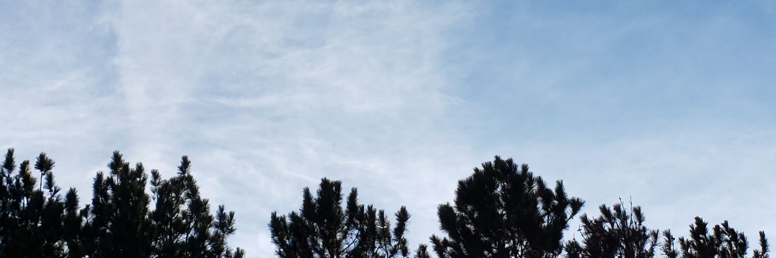 CloeHamby's profile banner image