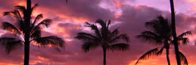 MandiOrellana's profile banner image