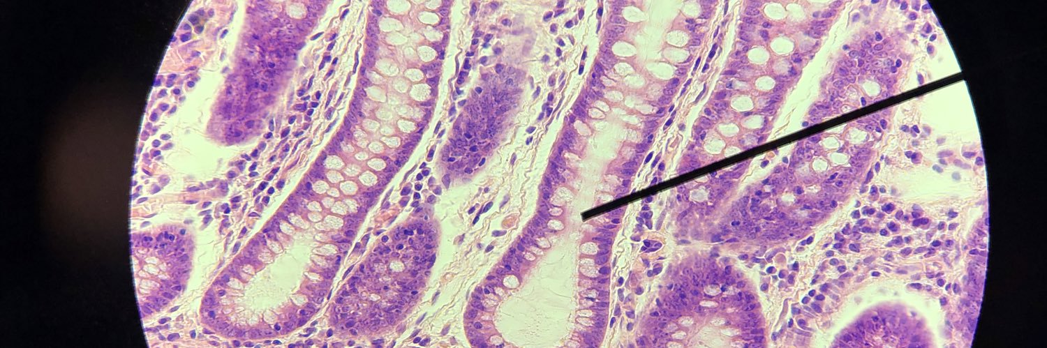 jonathan 🦆 banner