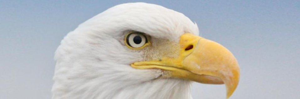 RAWalkerJr's profile banner image