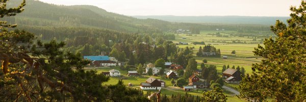 Coffeecurley Profile Banner