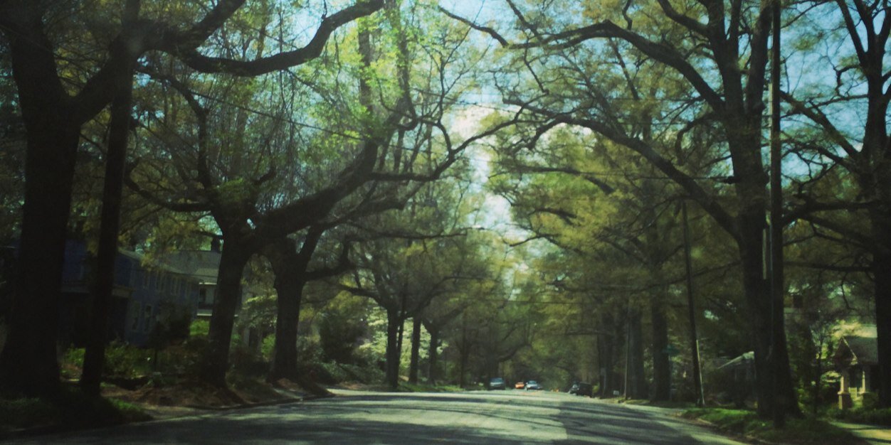 Elizabeth Nixon banner