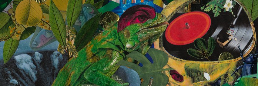 Guarda Records banner