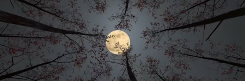konakoooona's profile banner image