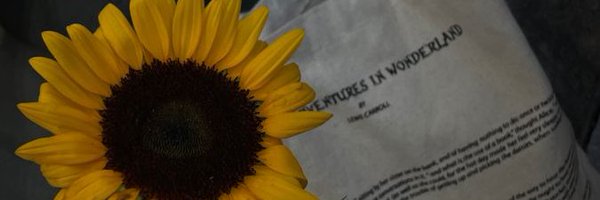 P_NUMB Profile Banner