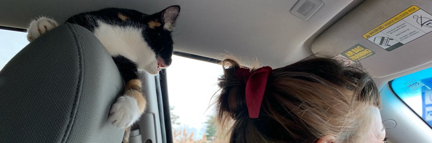 sweeteeegs's profile banner image