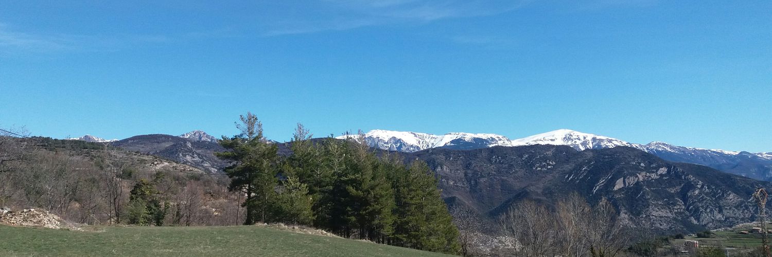 EPerarnau's profile banner image