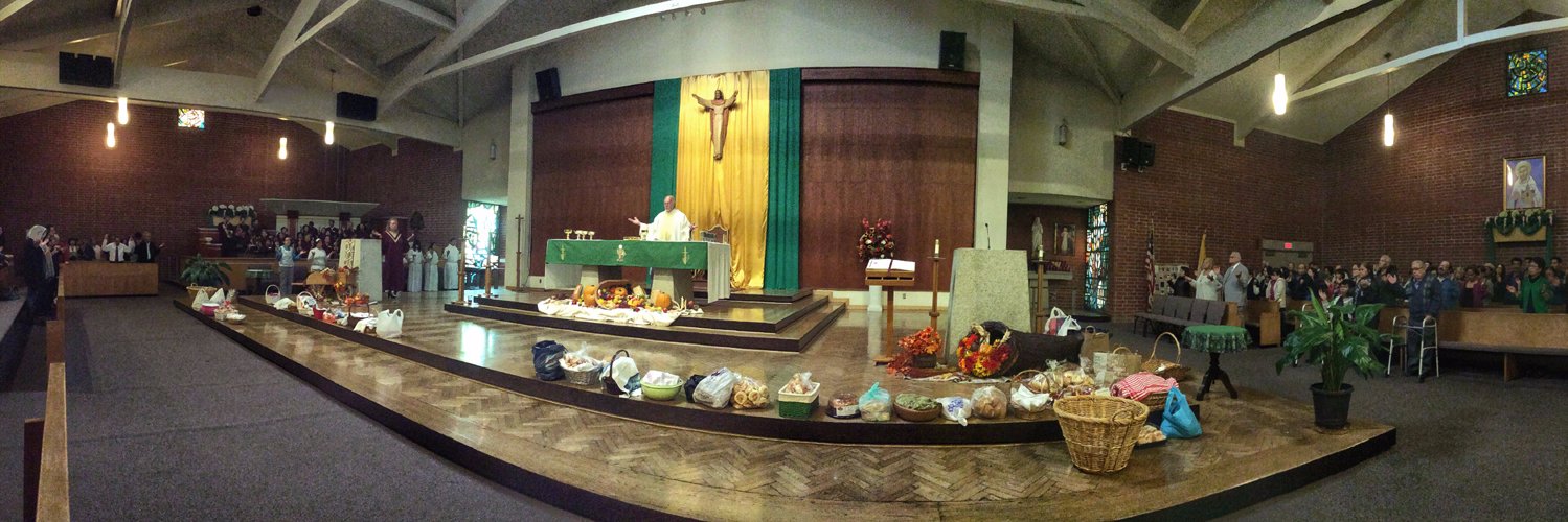stbernardla's profile banner image