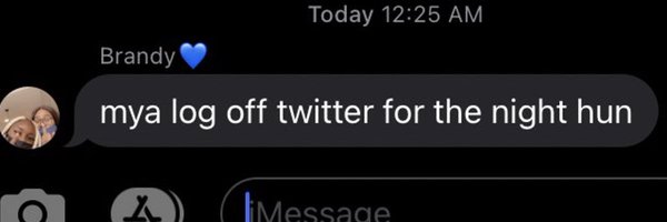 theemyarenee Profile Banner