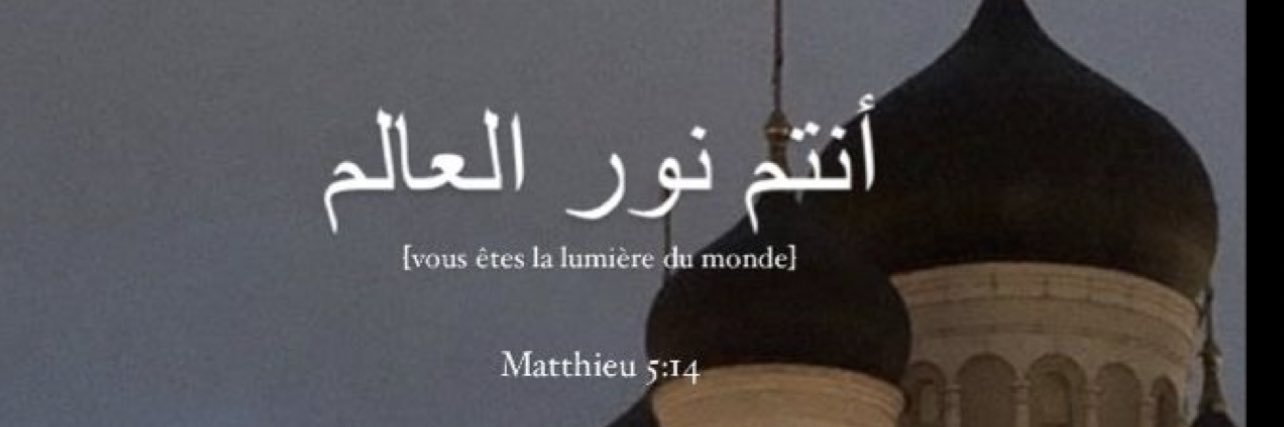 33🧸 banner