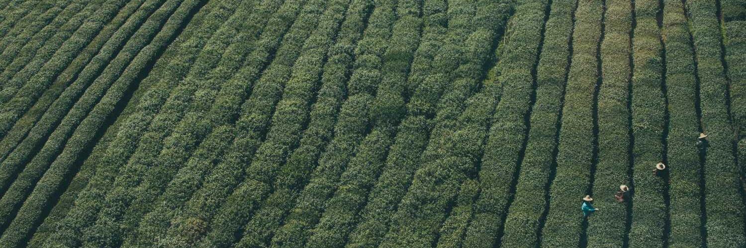 lloydlofthouse's profile banner image