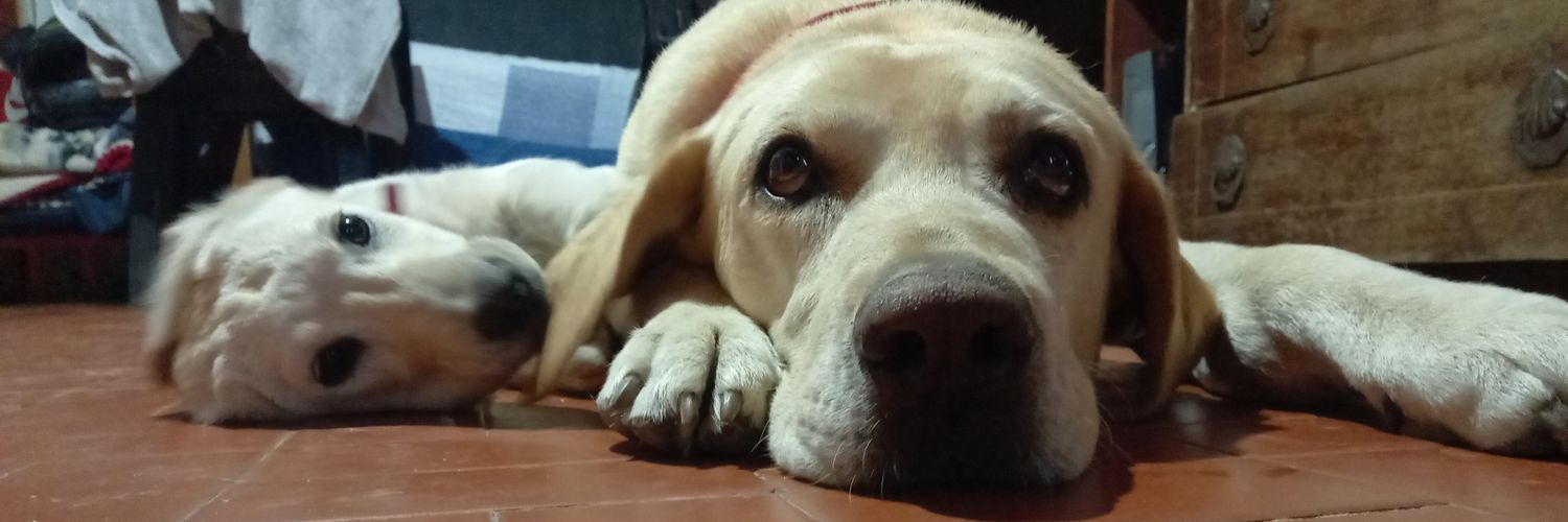 Taaylor02's profile banner image