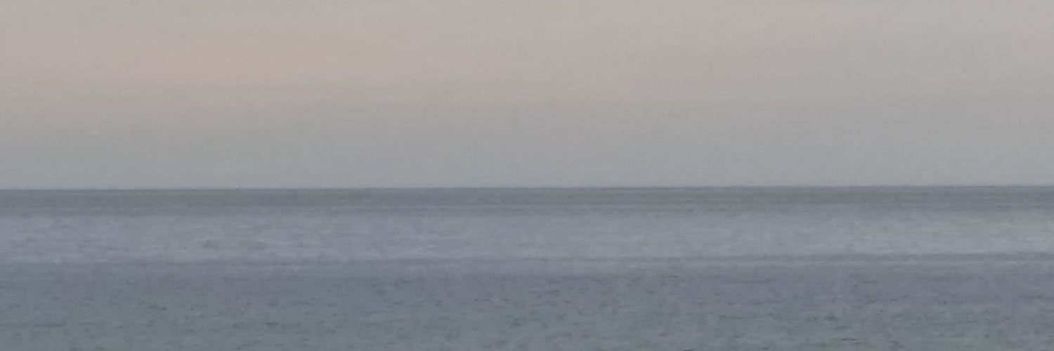 AWildMeryl's profile banner image