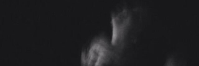 Liza Wyludda banner