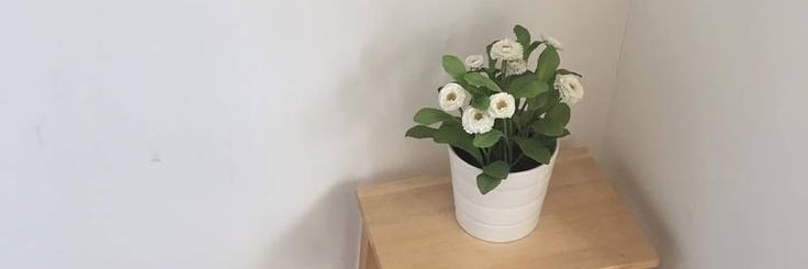 viarm65's profile banner image