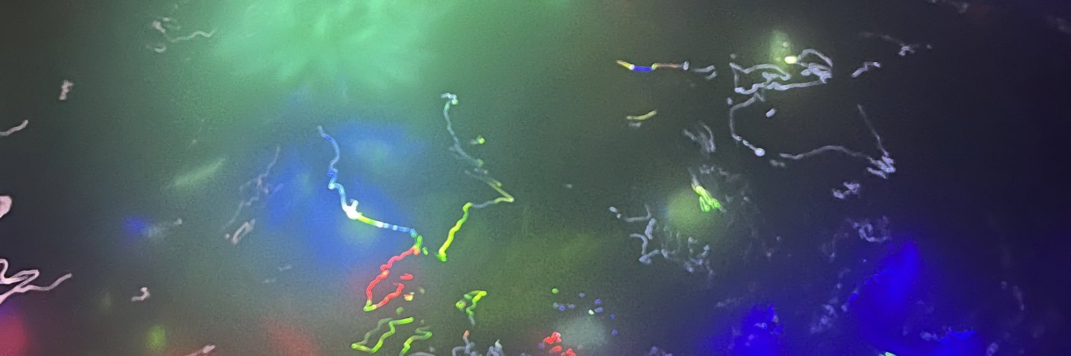 とあるヒト banner