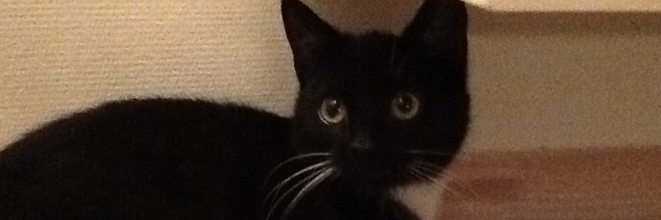 Sofiemmkk's profile banner image