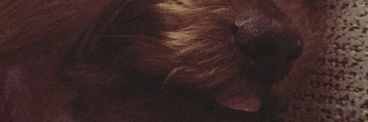 MariaGallardo__'s profile banner image