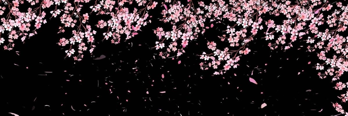 aniki_deg's profile banner image