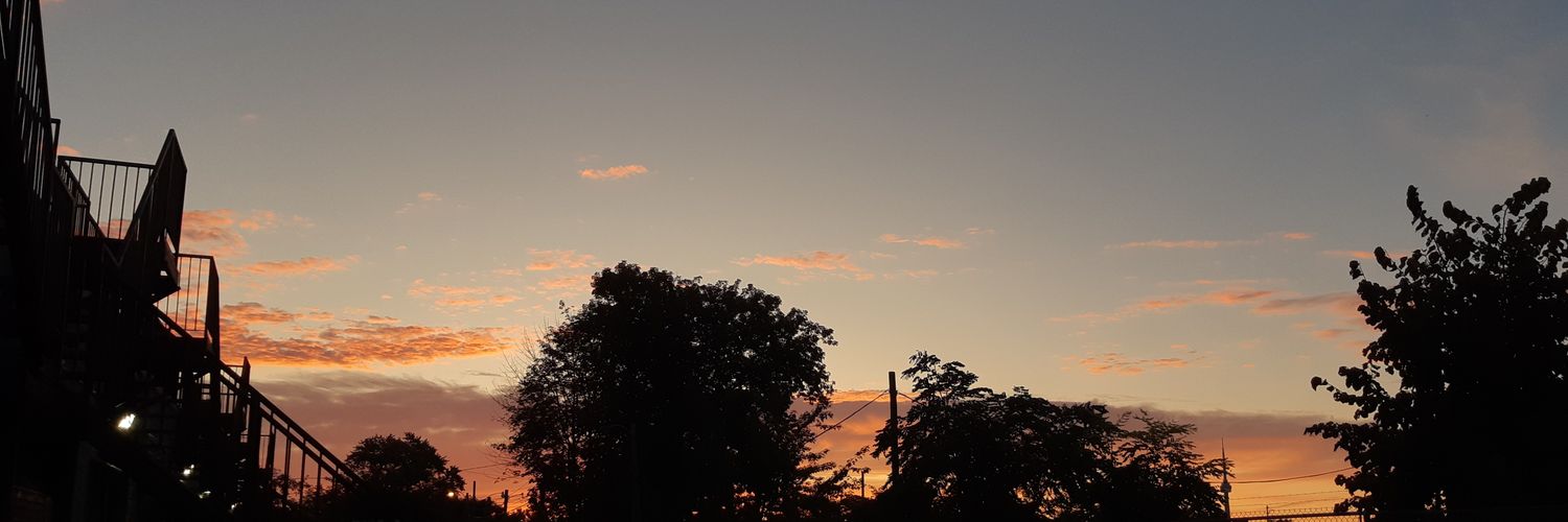 Jala_pinot's profile banner image