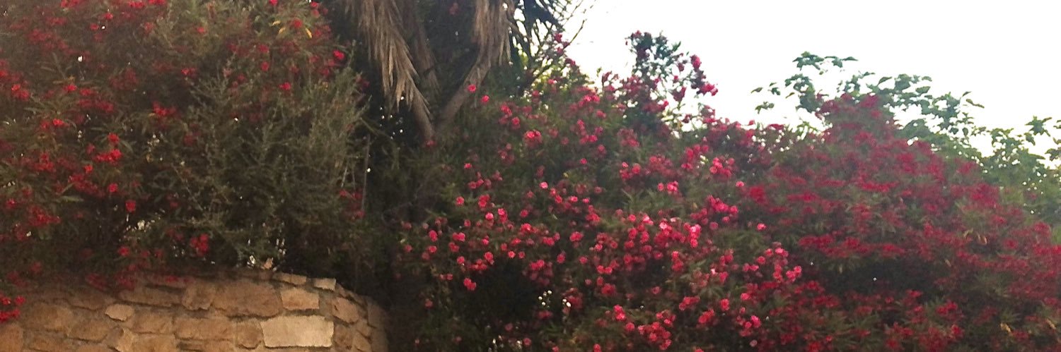 jvde23's profile banner image