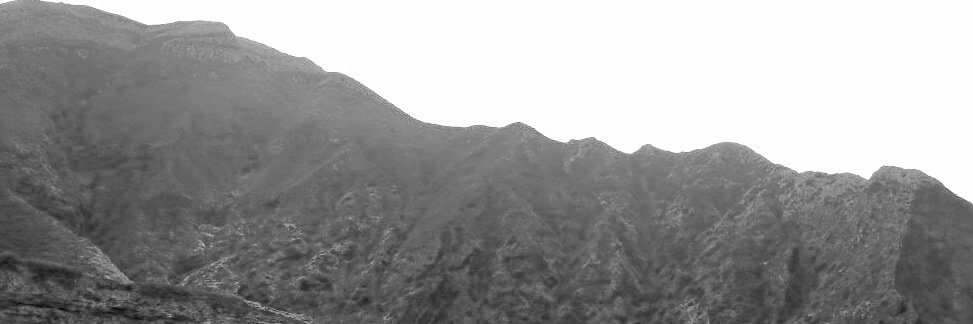 NeazyNez's profile banner image