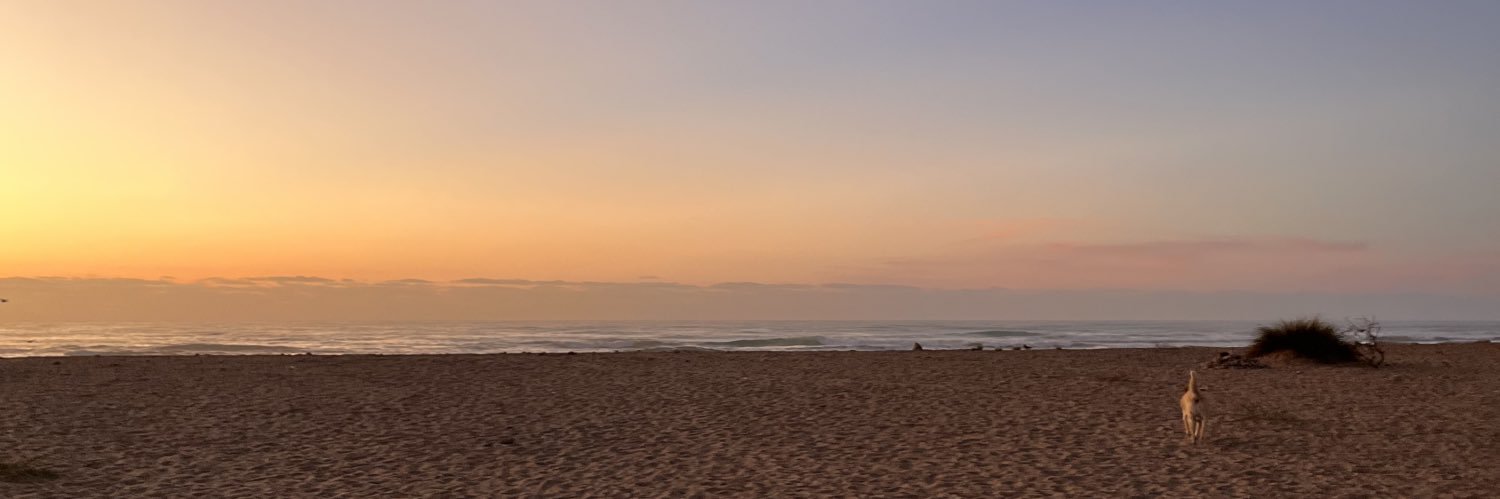 natiromer0's profile banner image