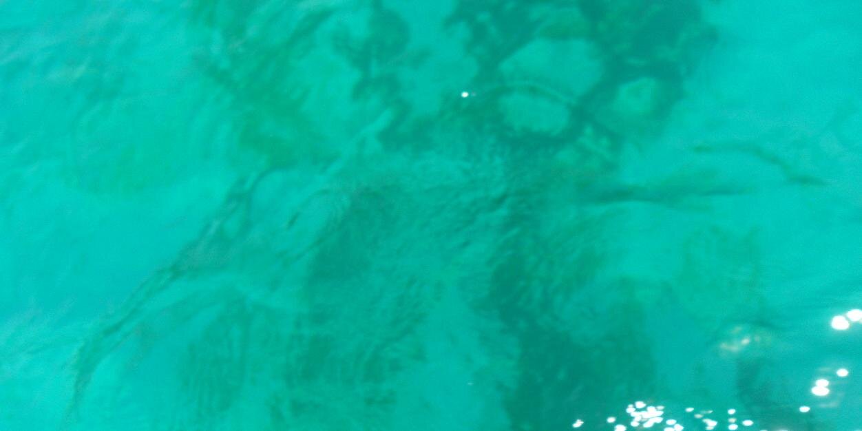 Halley banner