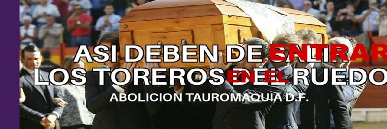 ROSY GONZALEZ banner