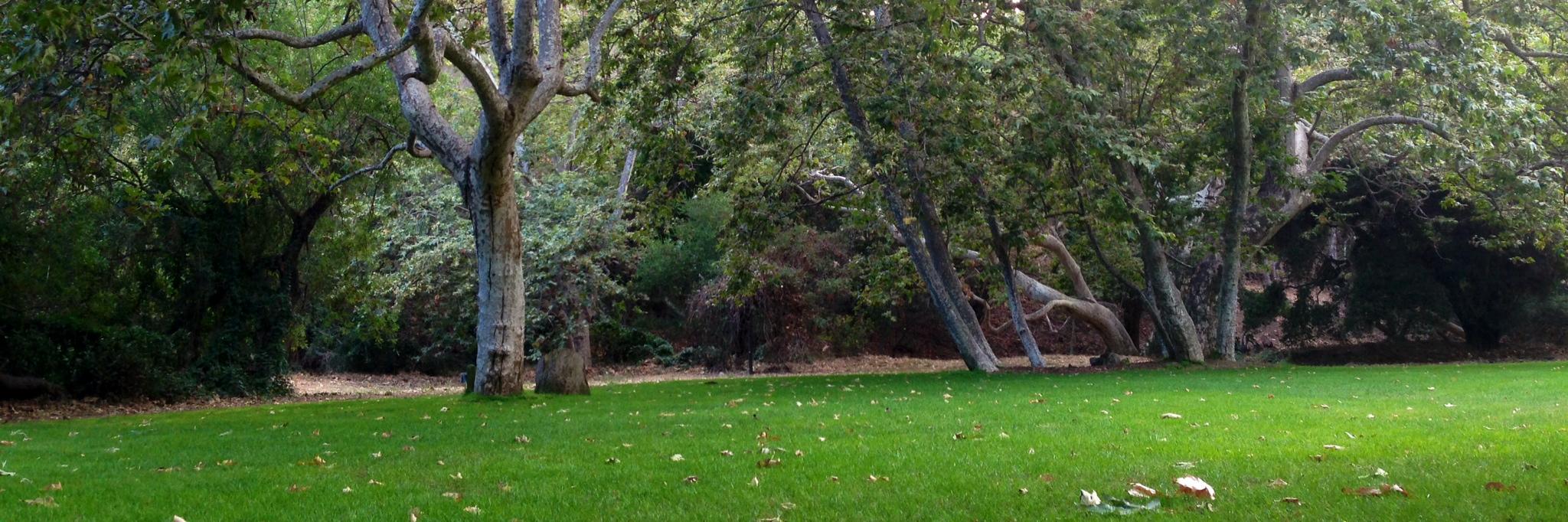 WestLADreamHome's profile banner image