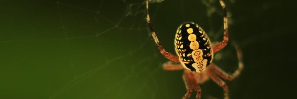 CineCon_ Profile Banner