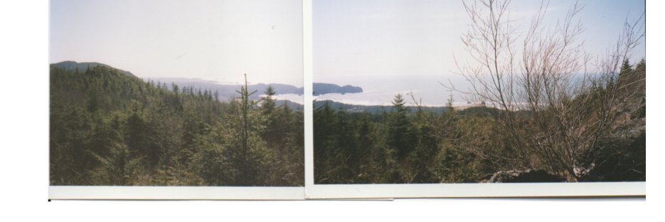 Robert Sullivan banner