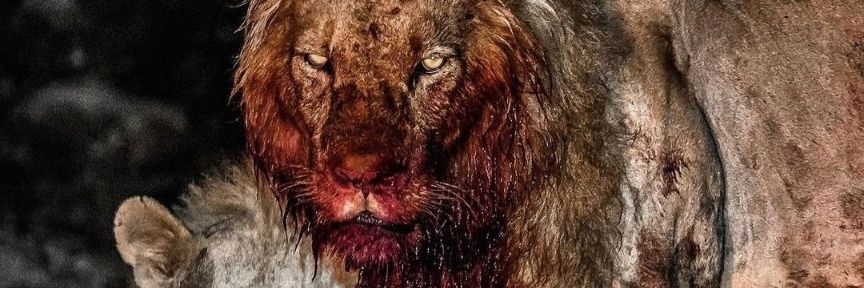 nickharh's profile banner image