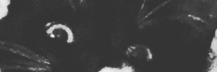 gulpix's profile banner image