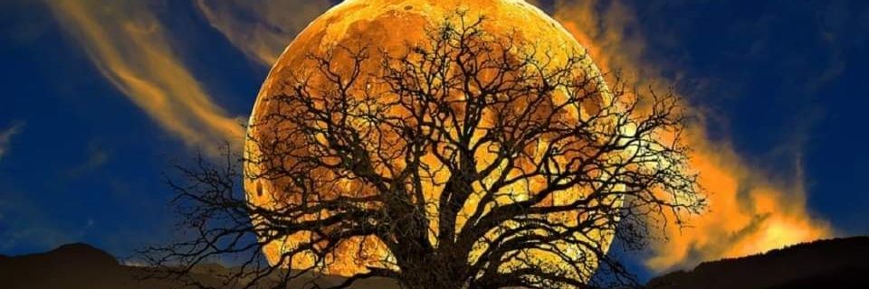 KittyKirk😼😼 #FBR #RESIST banner