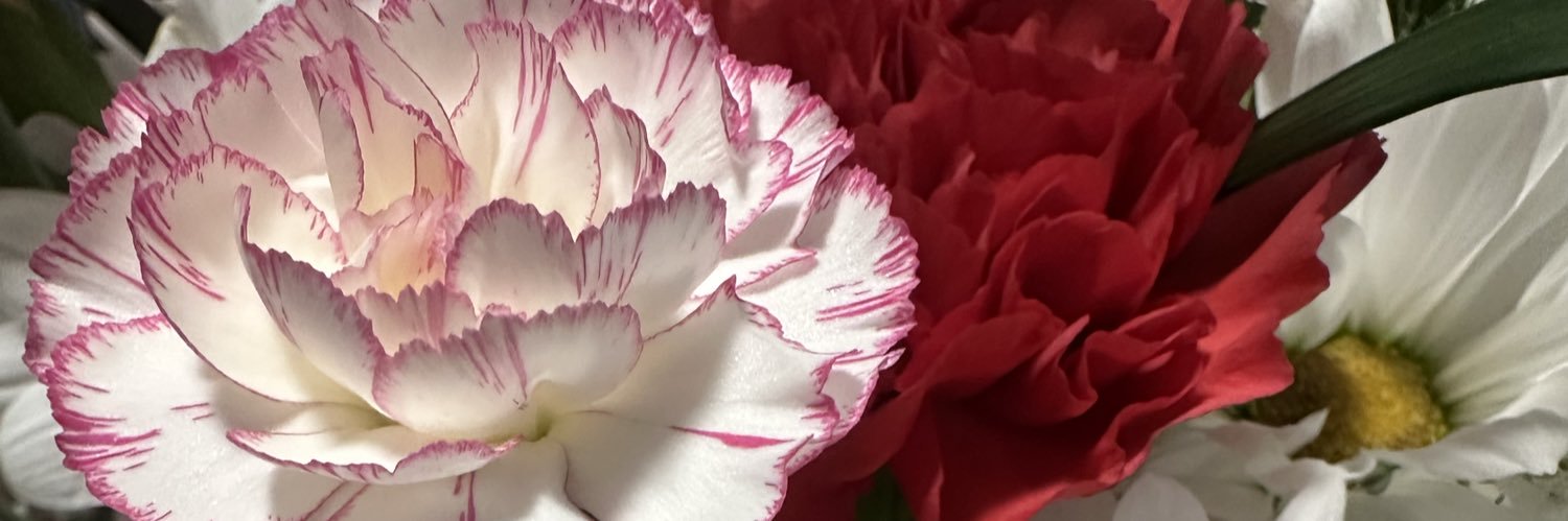 celiacherries's profile banner image