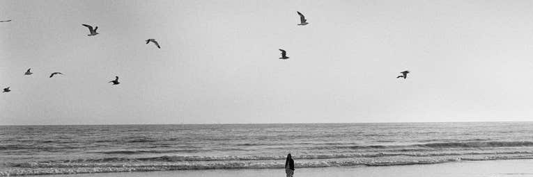 Steven Cicero banner