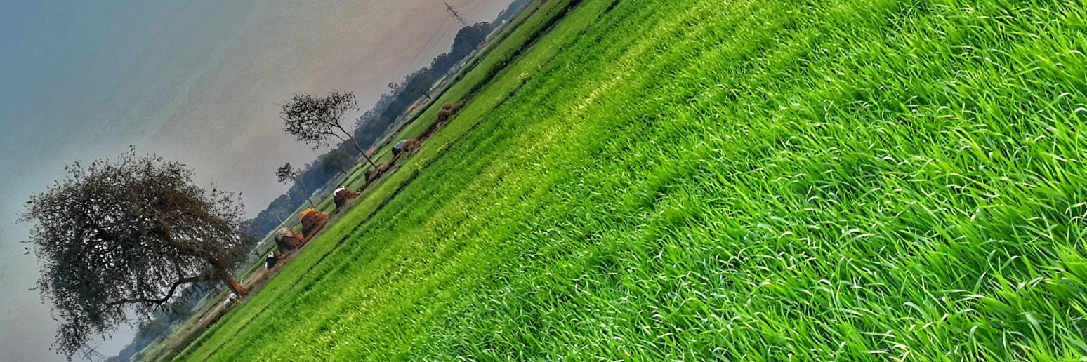 Arunjunai's profile banner image