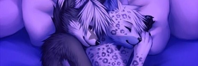 LilFurryFemboy's profile banner image