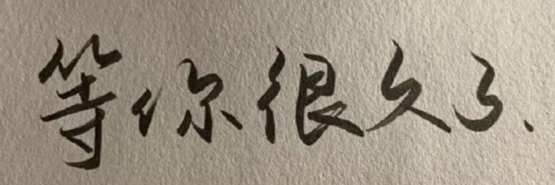 Bider51115's profile banner image