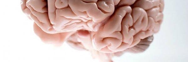 Animated tips banner